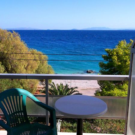Hotel Sun كينيتا المظهر الخارجي الصورة