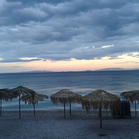 Hotel Sun كينيتا المظهر الخارجي الصورة